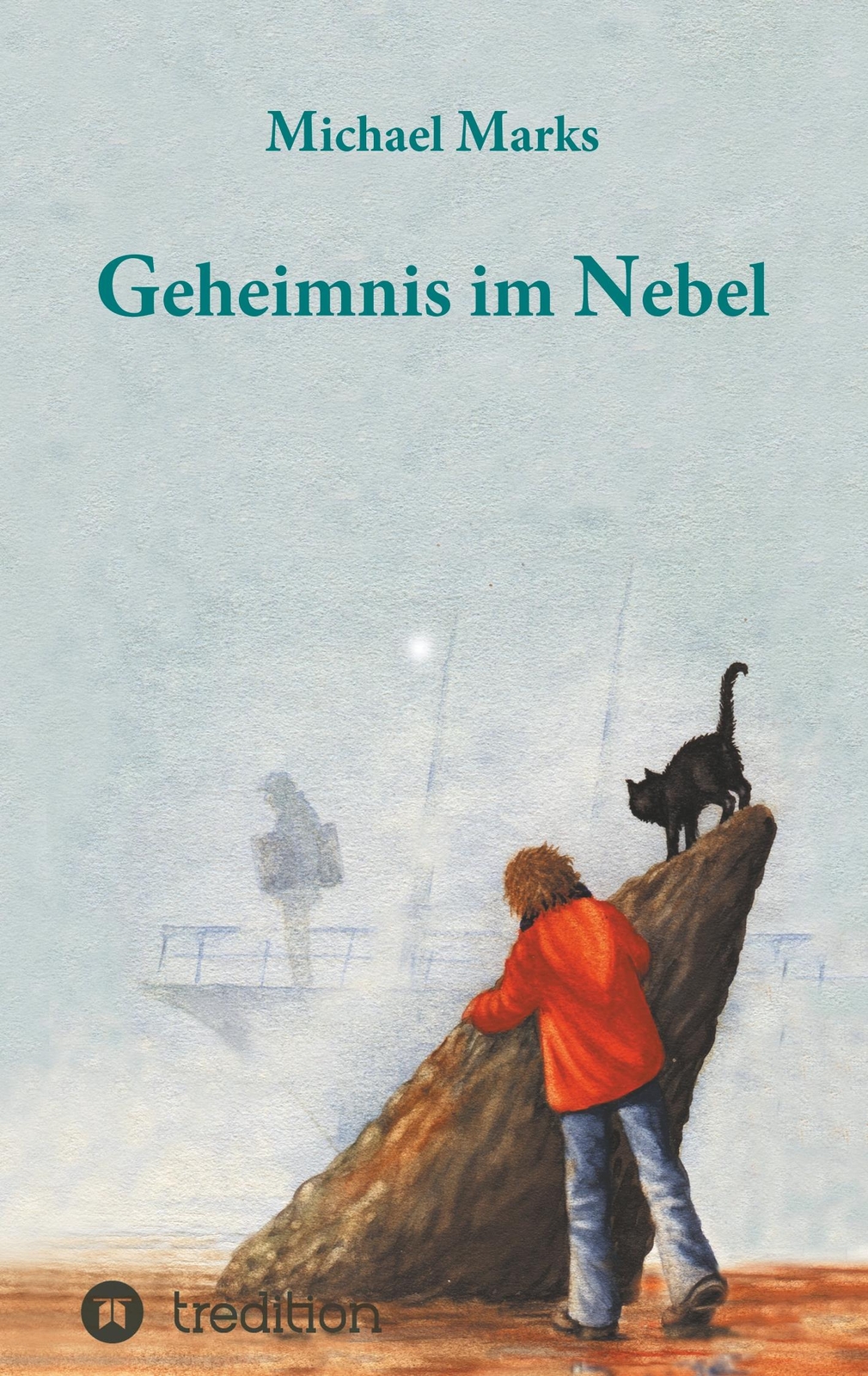 Geheimnis Nebel | Buch | 9783743931664