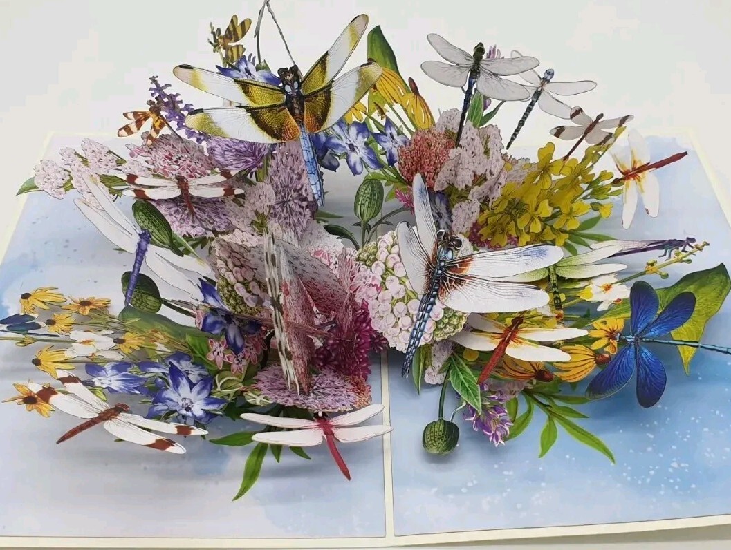 ❤️ 3D POP UP Karte Bunte Libellen Blumen Geburtstag Bunt