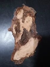 S-1757_ Thin Black Cherry Burl Slab 12" x 5" x 1/2"