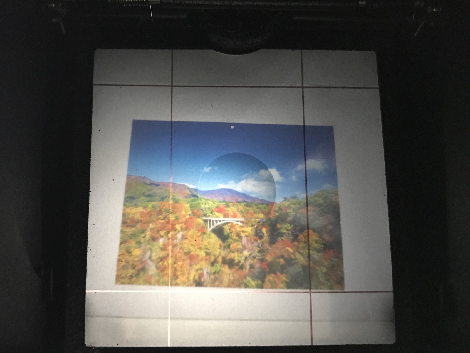Picture 5 of 14