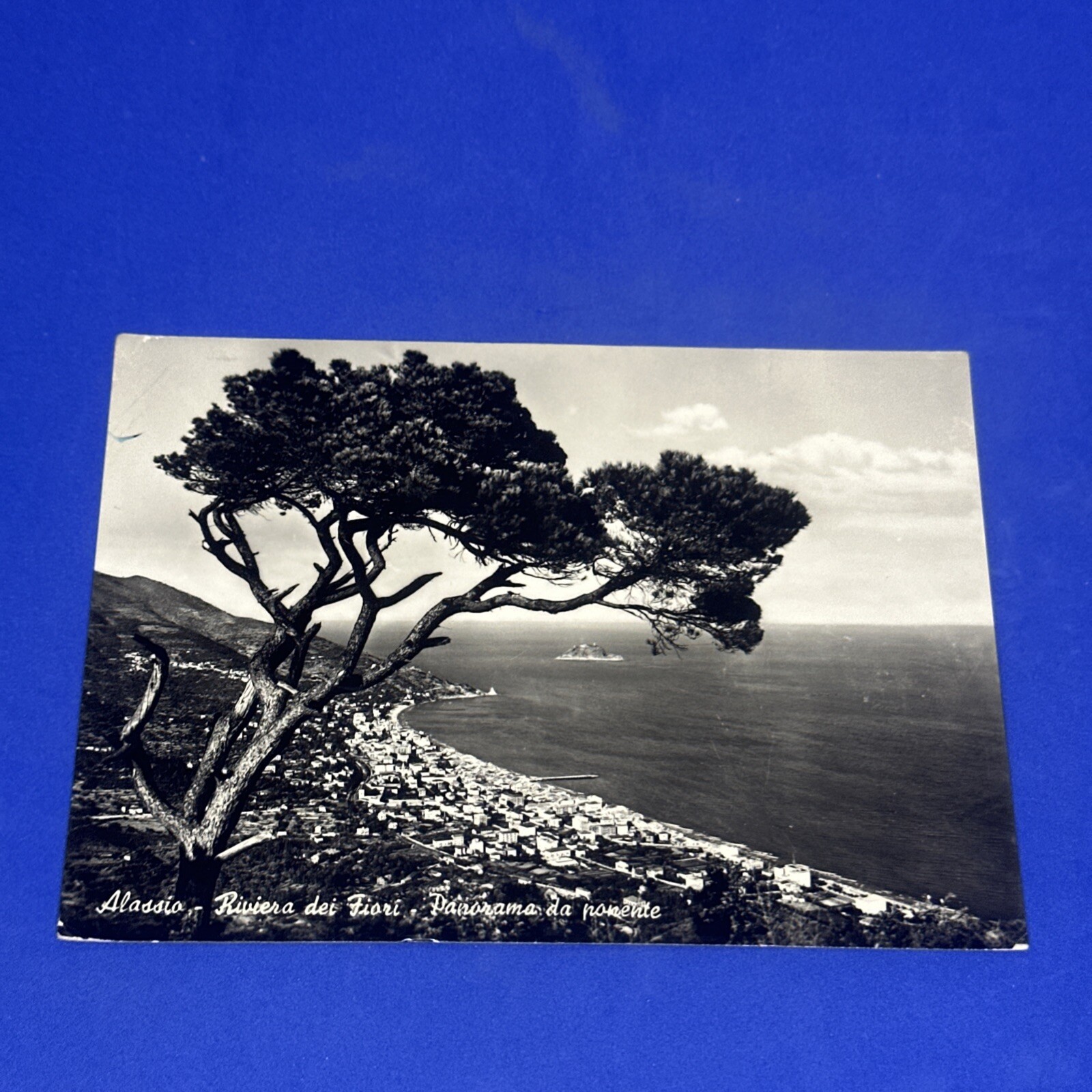 ALASSIO PANORAMA DA PONENTE - BIANCO E NERO CARTOLINA -