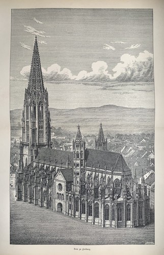Freiburg im Breisgau - Freiburger Münster - Münster Unserer Lieben Frau - Gotik - 第 1/7 張圖片