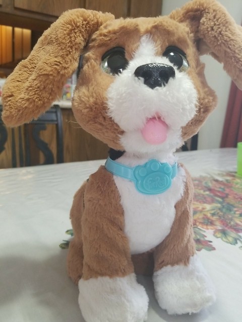 charlie the barkin beagle