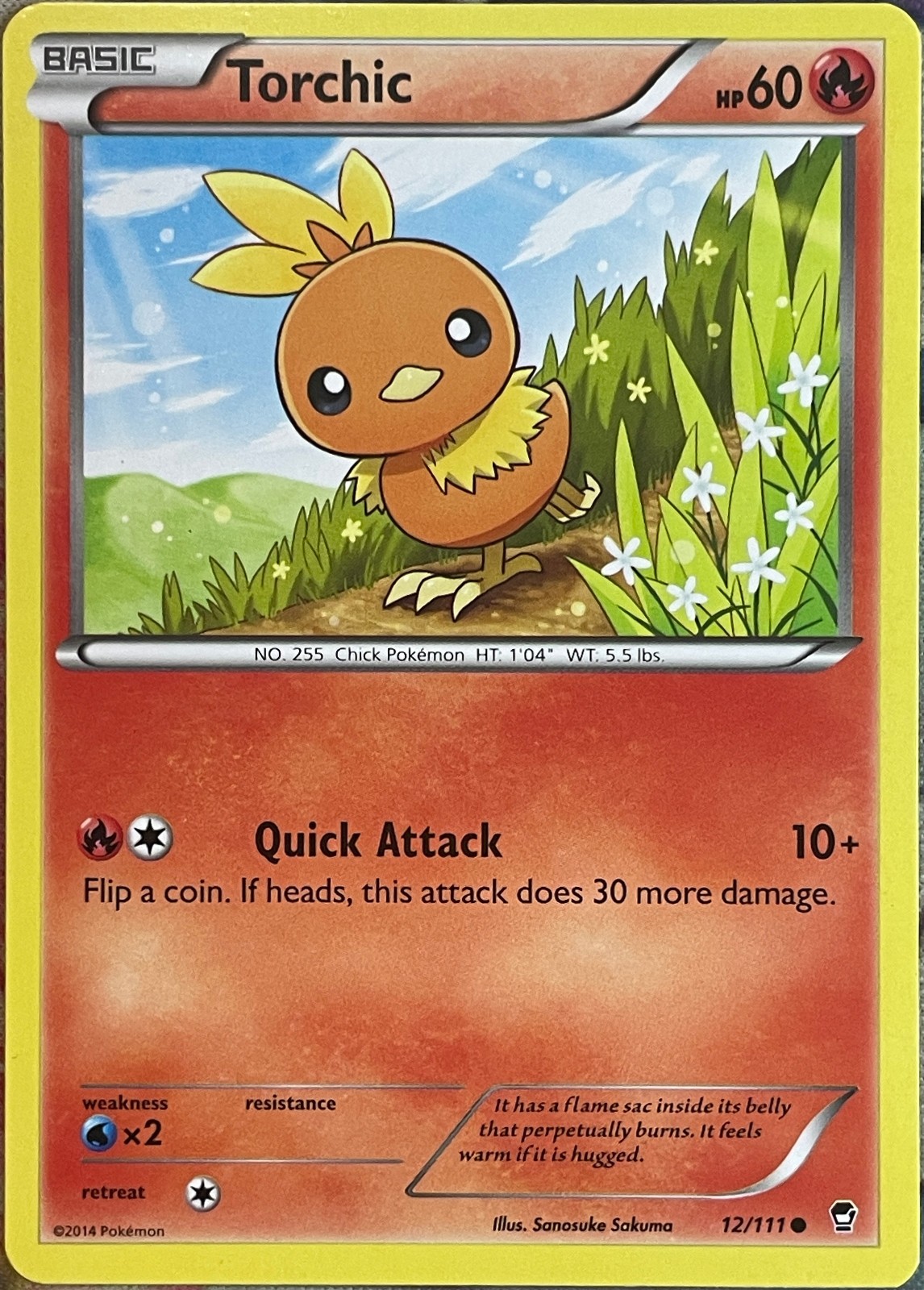 Torchic - 12/111 - XY Furious Fists Pokemon 2014