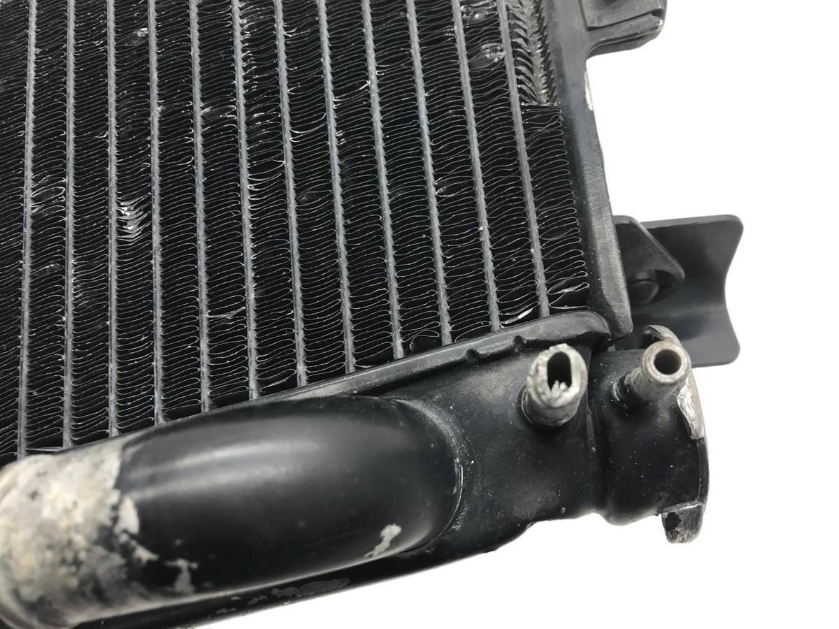 Heizkörper Wasser KAWASAKI ZX-9 R 900 1998-1999 NINJA | eBay