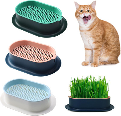 3 Stück Katzengras Pflanzgefäß Katzenminze Katzengras Box Hydrokultur Katzengras