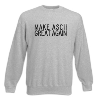 Make ASCII Great Again Sweatshirt Pullover CSS Html Binary Informatiker Fun Nerd