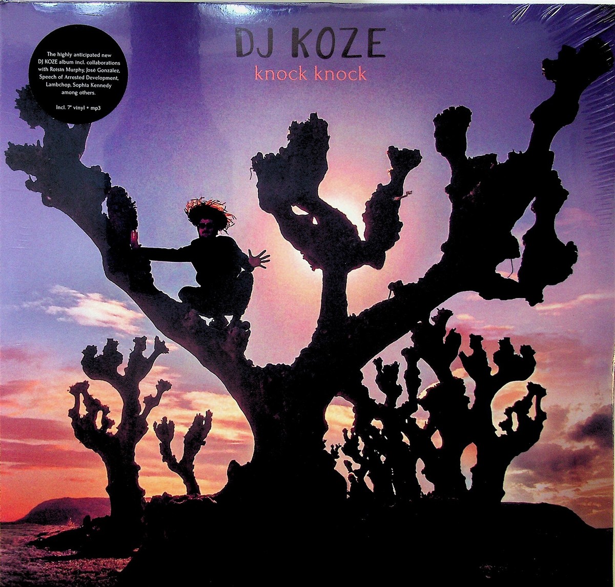 DJ Koze - Knock Knock (2xLP, Album + 7
