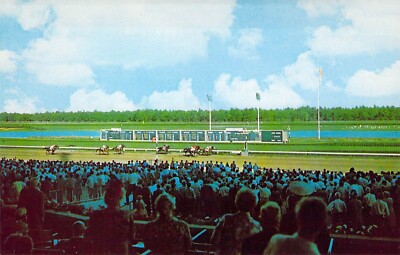 1964 NJ Atlantic City Race Track Horse Racing Crossing Finish Line Postcard N33