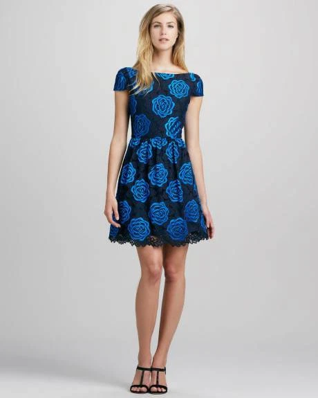 Alice and olivia navy lace clearance dress