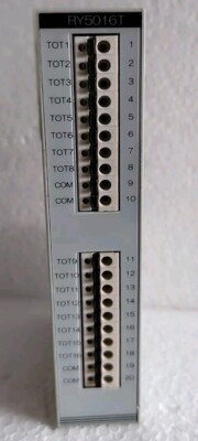 Yamatake Azbil RY50016T