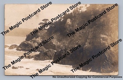 Point Lobos Antique RPPC Pacific Grove California Real Photo Postcard 1913