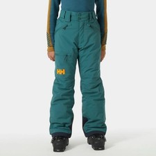 NWT Helly Hansen Boy's Junior Elements Ski Snowboard Pants, Size 14 /164