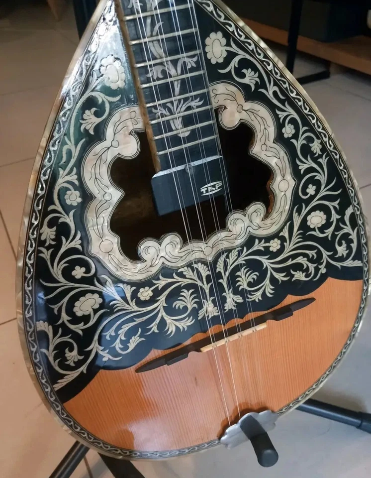 Greek Bouzouki with HARDCASE & PICK UP & TUNER & 300 BACKING TRACK WITH SCORES. - Image 3 of 4
