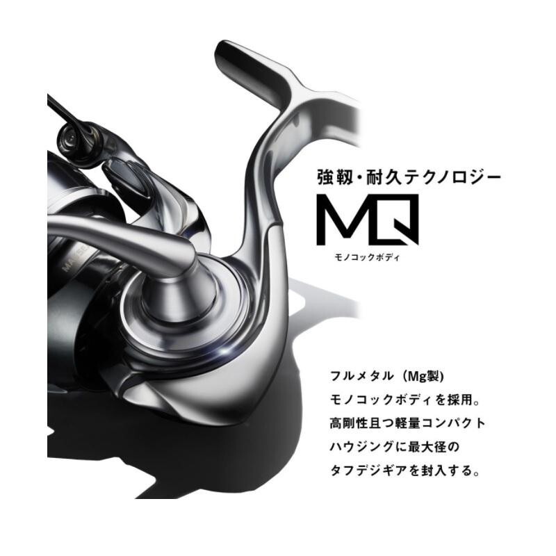 Daiwa 22 EXIST LT2500S Spinning Reel 2022 model versatile