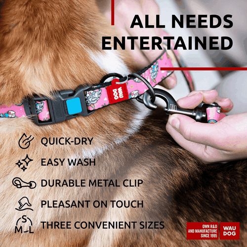 Nylon Dog Leash for Small Dogs and Medium Dogs 4 Ft Strong Dog Leash for - Picture 5 of 6
