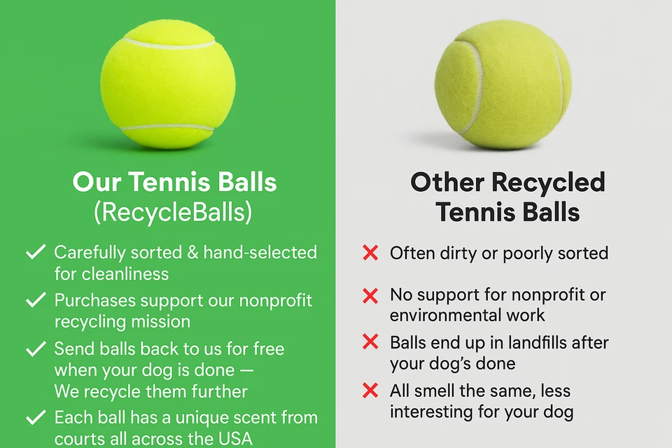 100 Grade A Used Tennis Balls (Collected from Indoor Courts Only) FREE SHIPPING! - Image 3 of 4