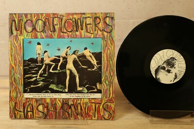 Moonflowers, Album HASH SMITS, Vinyl LP, Rock, Pop God  PGLP12, Limited, NM !