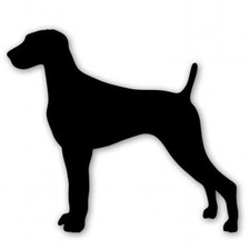 Weimaraner Dog Breed Car Vinyl Sticker - SELECT SIZE