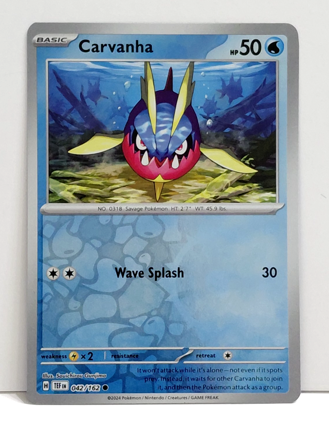 2024 POKEMON CARVANHA 042/162 BASIC HOLO CARD | eBay