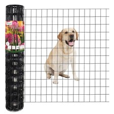 Cerca de alambre 36 x25 2 x3 16GA negro recubierto de PVC soldado jardín FOREHOGAR pulgadas pie