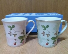 Wedgwood Wild Strawberry Pastel Mug w/Box UNUSED Bone China UK Coffee Tea YK826