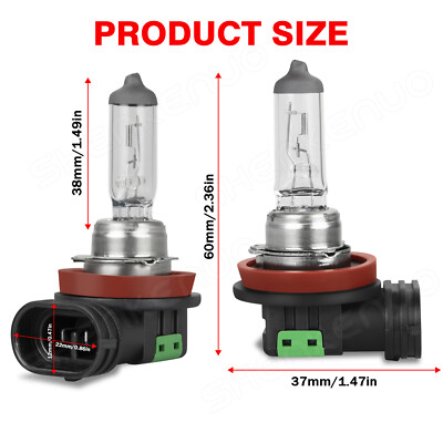 H9 H11 12V 55W Warm White Halogen Headlight Lamp Globes Bulbs For Toyota Tundra
