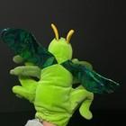 Bild 7 von 8