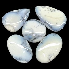5 Pcs Natural Dendrite Agate 33-49mm Huge Untreated Loose Cabochon Gemstones Lot