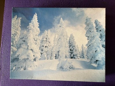 Vintage Springbok Puzzle Snowscape Complete