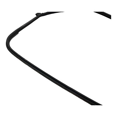 2002-2013 MINI Cooper Hatchback Right Pass Door Seal 51767151384