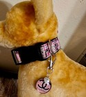 Elegant dog collar, collar for dog, luxury collar for dog with removable tag LRG