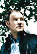 David Gray autograph signed 20x30 cm picture 