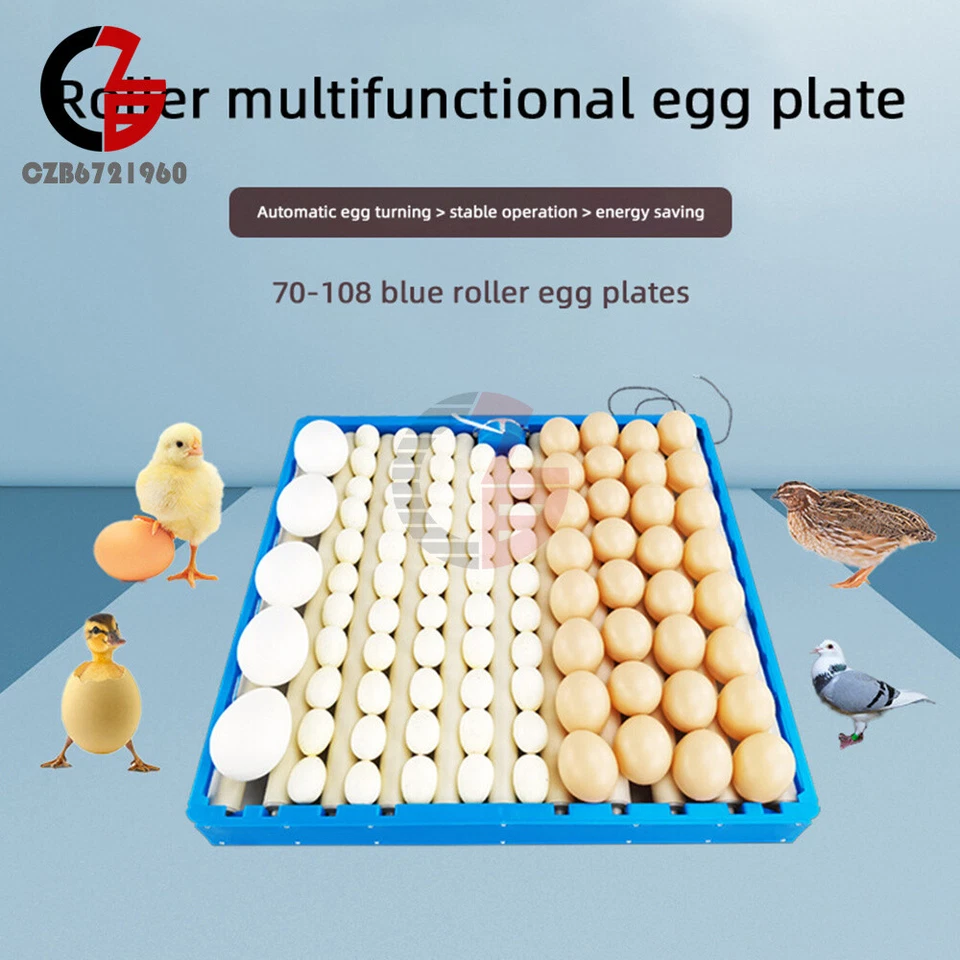 Incubadora automática de huevos 56/154/70-108 de control de temperatura de pollo y pato Foto 2 de 4