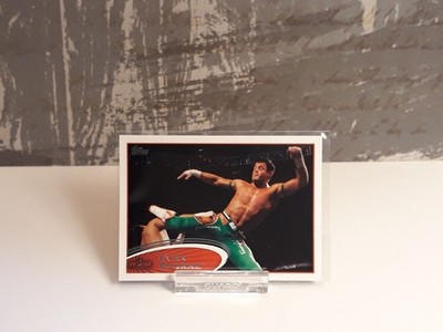 Evan Bourne - WWE Topps 2021 #35 / Near Mint!