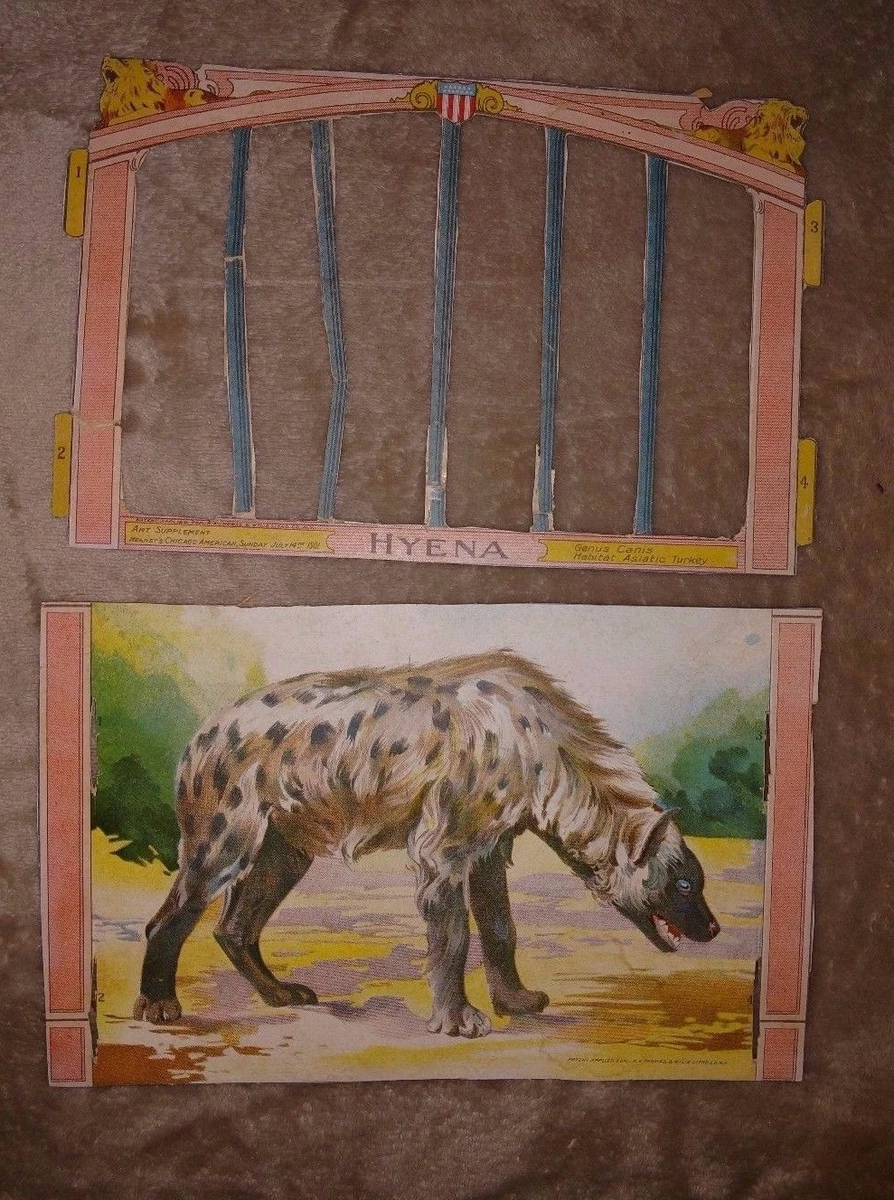 American Hyena