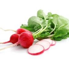 SEMILLAS VEGETALES RÁBANO CEREZA BELLE RELIQUIA SABOR SUAVE CULTIVO TODO EL AÑO