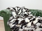 Bild 2 von 8