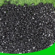 Natural Black Pebbles 18lb Aquarium Gravel Decorative Stones for Plants