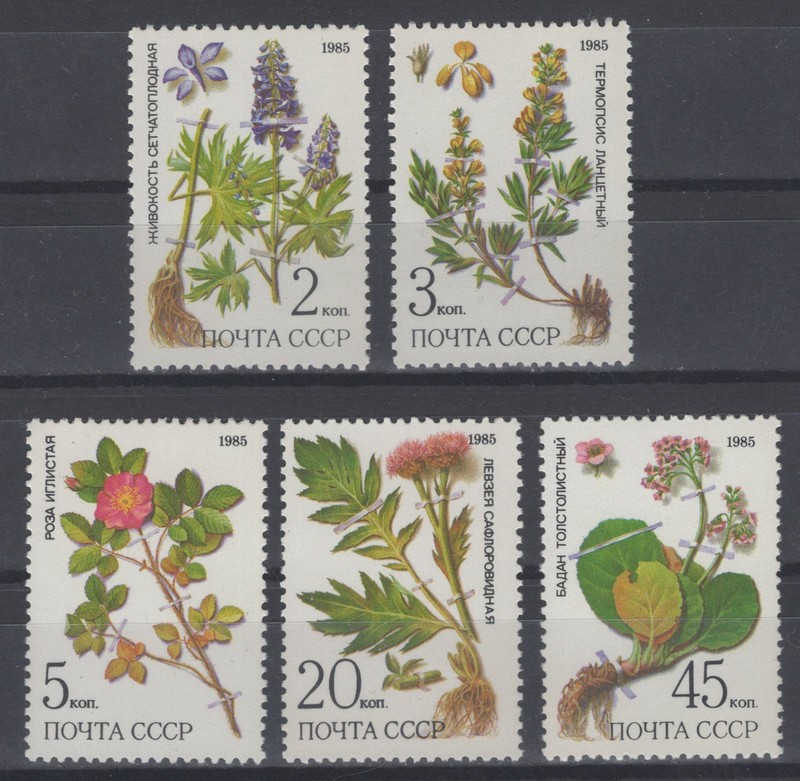 Russia 1985. Medicinal Plants. Scott # 5379-5383. MNH, VF