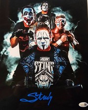   WCW TNA WWE AEW THE ICON STING SIGNED 11X14 METALLIC JSA CERT!!