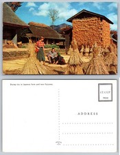 Postal vintage de Japón granja secado arroz monte. Fuji Rural Life años 50 60