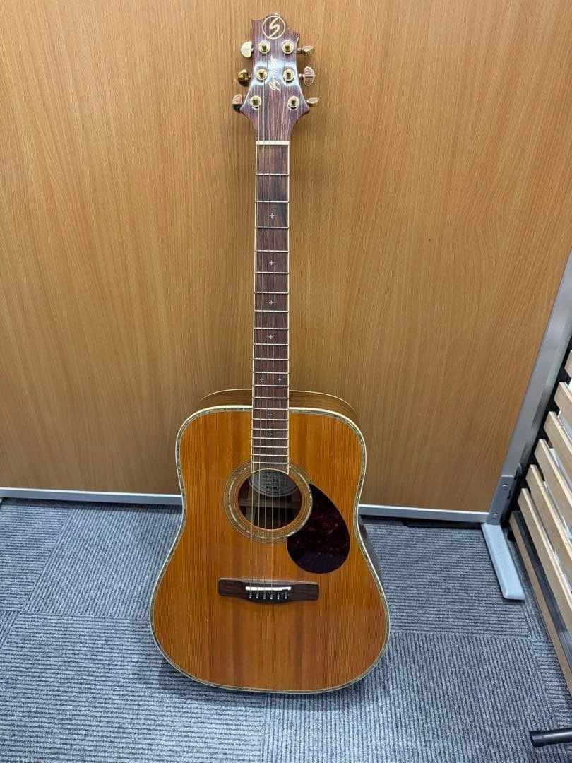 Greg Bennett アコースティックギター D-8 3ピースバック Greg Bennett D-8 Acoustic Guitar 3-Piece Back Avalon Decor Gold