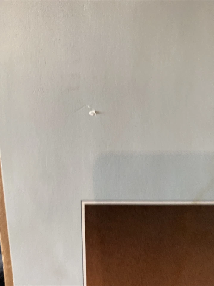 "Libro de arte Donald Duck Gottfried Helnwein 1984 impresión de póster Walt Disney 38"" X 26""" Foto 4 de 4