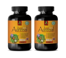 immune support vitamins - ADRENAL SUPPORT - brain enhancement 2 BOTTLE