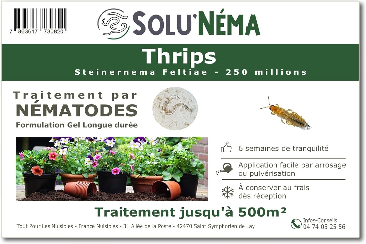 Nématodes thrips solution naturelle terreau et traitement biologique larves de thrips