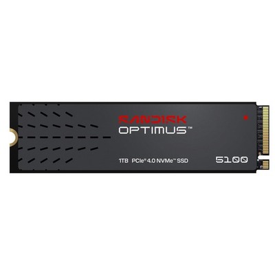 Western Digital SDSP51100TAN000E0 1TB SSD M.2 PCIe 4.0 Black