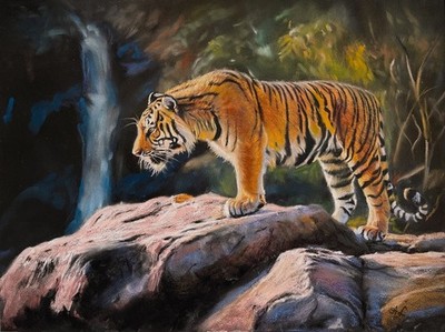  Tiger Painting Original Direct From Artist