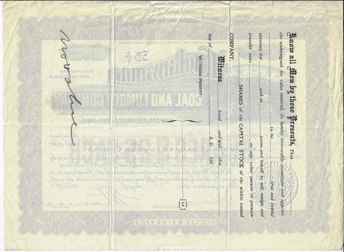 West Virginia 1906 Lackawanna Coal and Lumber Company Aktienzertifikat Boone Co - Bild 2 von 2