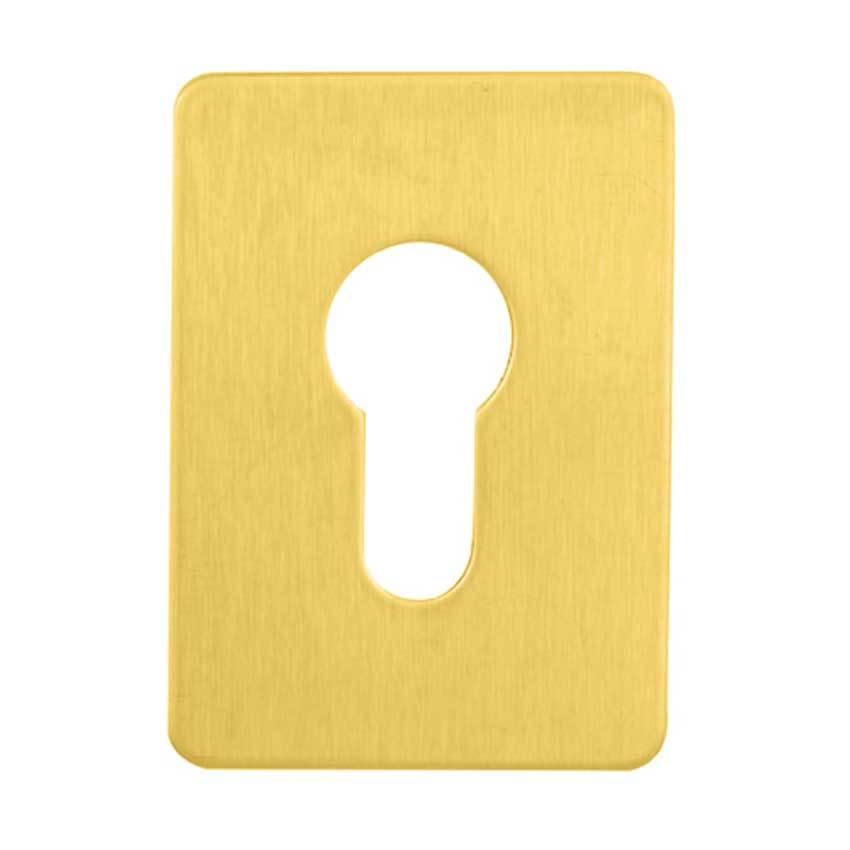 TSS Large Euro Escutcheon Stick On 65 x 47mm Gold (TSSEURESCG)